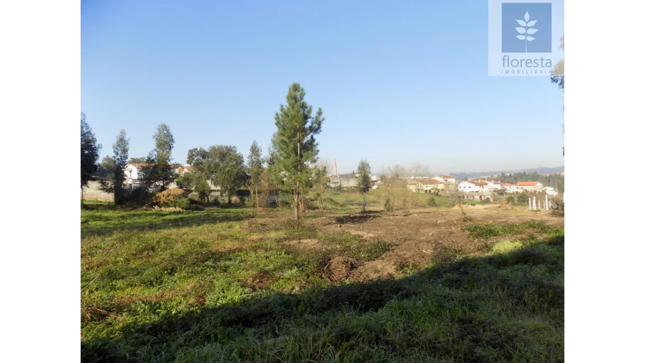 Terreno para Venda em Avidos e Lagoa Foto 9