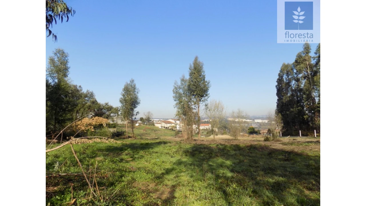 Terreno para Venda em Avidos e Lagoa Foto 17
