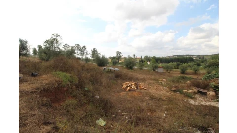 Terreno para Venda em Cernache