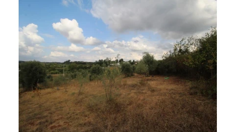 Terreno para Venda em Cernache