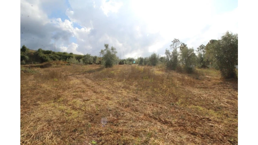Terreno para Venda em Cernache Foto 3
