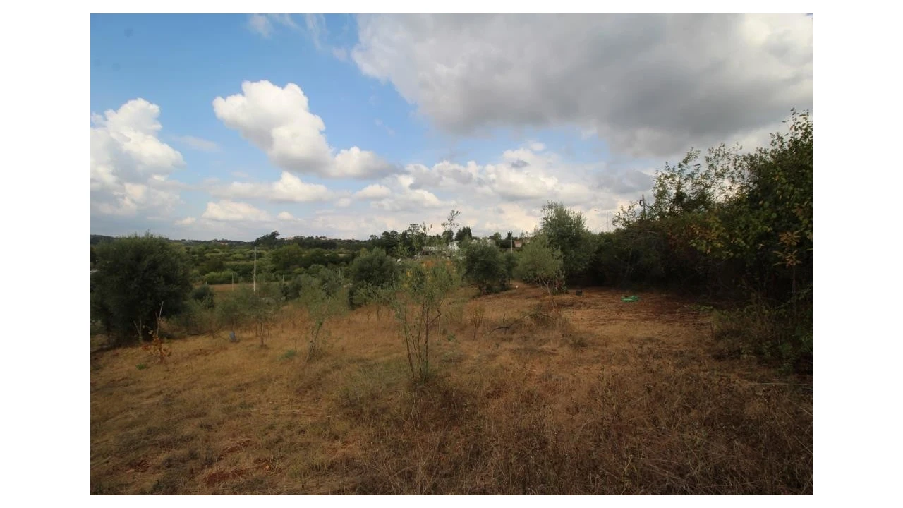 Terreno para Venda em Cernache Foto 1