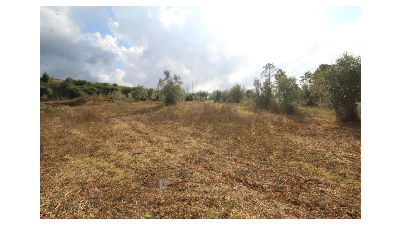 Terreno para Venda em Cernache Foto 3