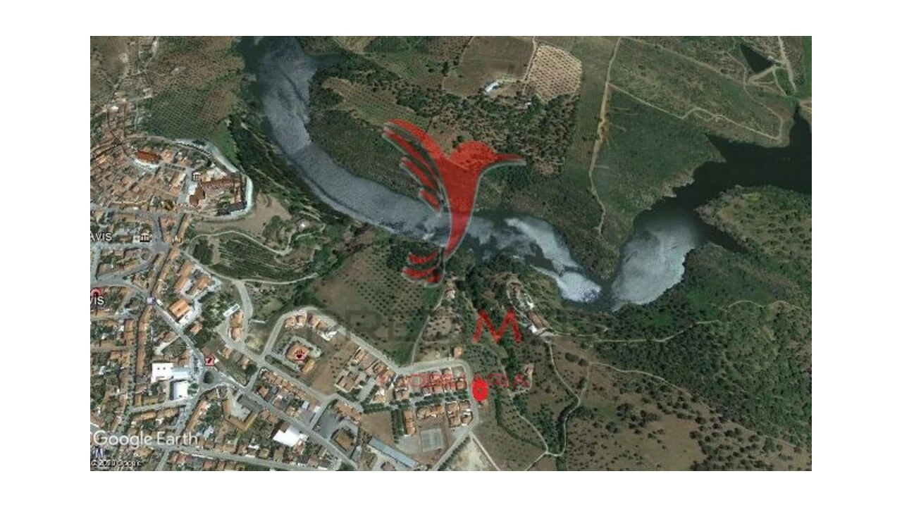 Terreno para Venda em Avis Foto 3