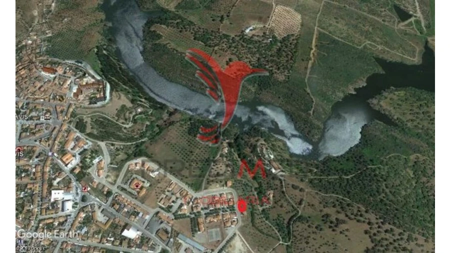 Terreno para Venda em Avis Foto 3