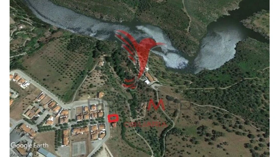 Terreno para Venda em Avis Foto 1