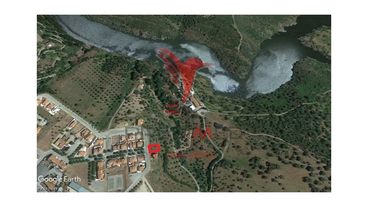 Terreno para Venda em Avis Foto 1