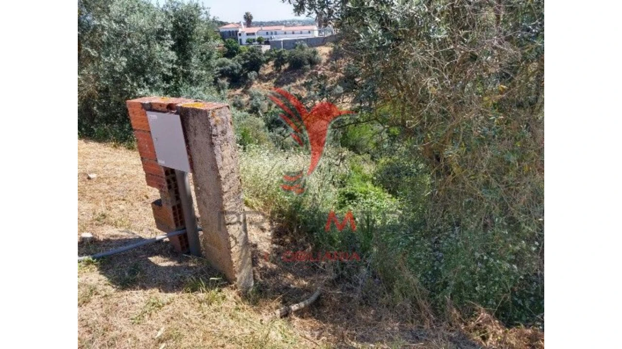 Terreno para Venda em Avis Foto 6