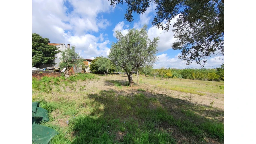 Terreno para Venda em Cernache Foto 2