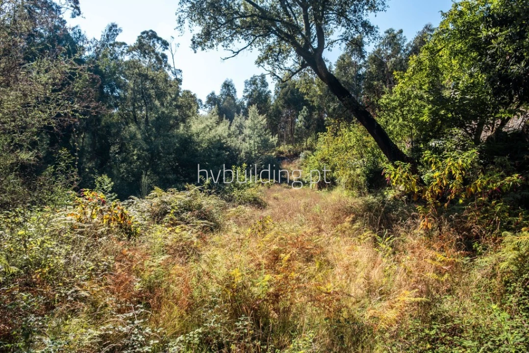Terreno para Venda em Quintiães e Aguiar Foto 7
