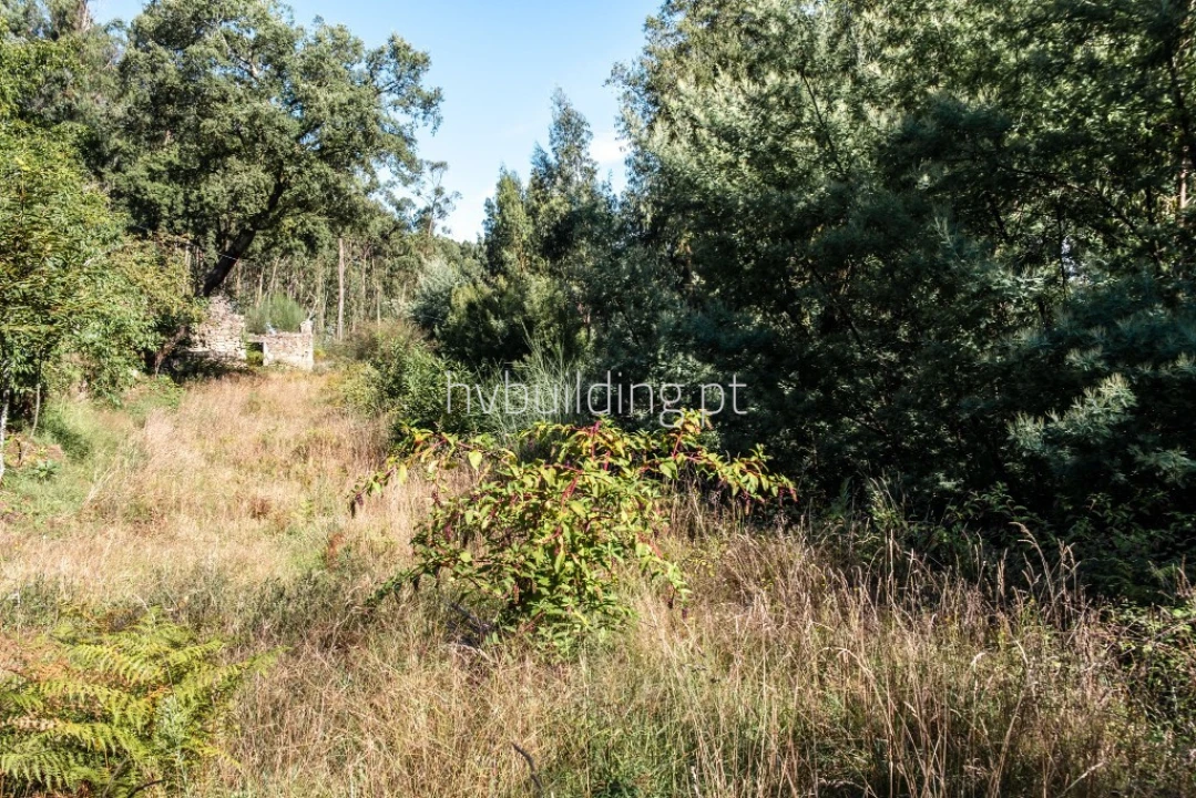 Terreno para Venda em Quintiães e Aguiar Foto 3