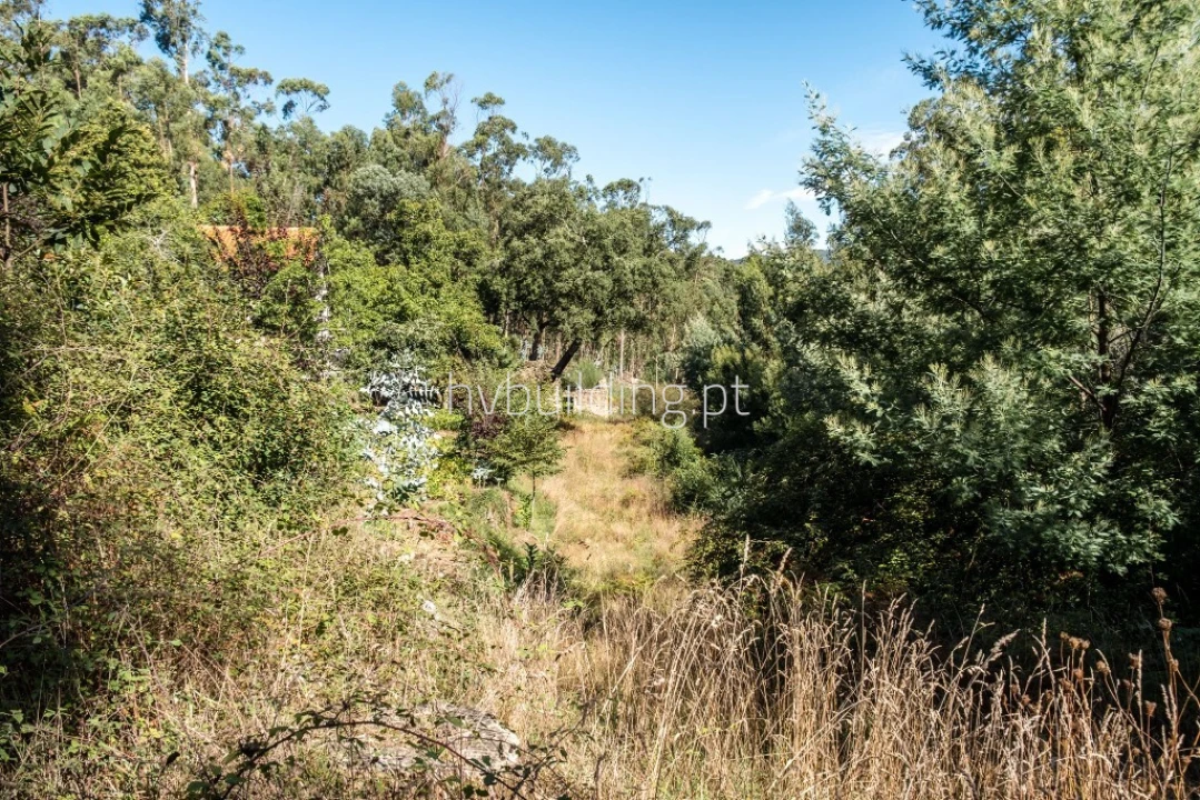 Terreno para Venda em Quintiães e Aguiar Foto 1