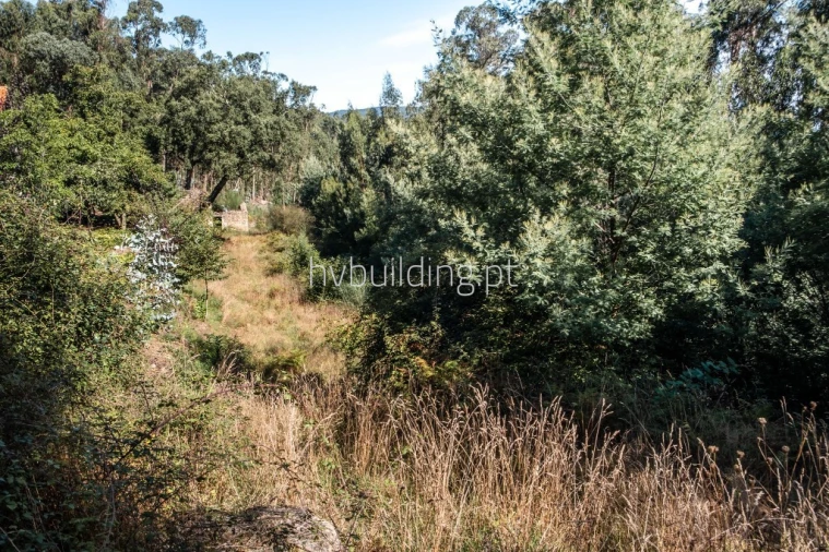 Terreno para Venda em Quintiães e Aguiar Foto 11