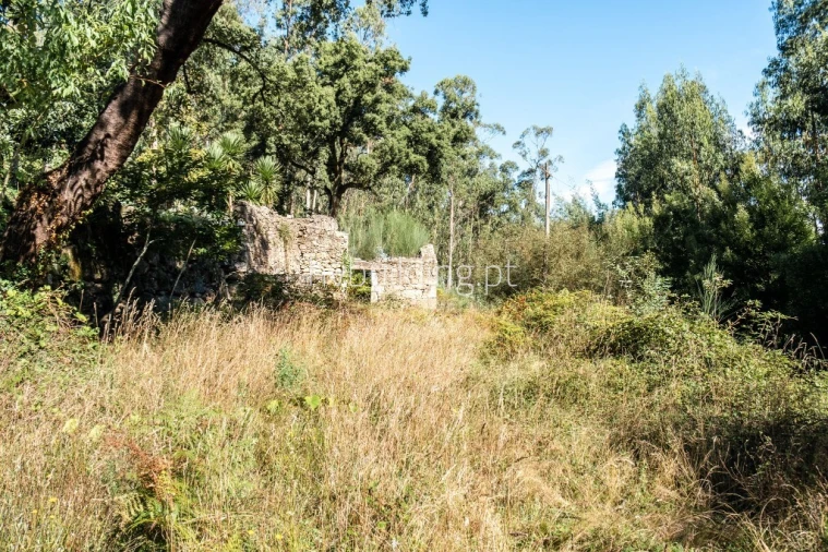 Terreno para Venda em Quintiães e Aguiar Foto 5