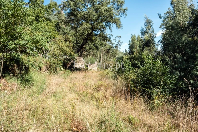 Terreno para Venda em Quintiães e Aguiar Foto 4