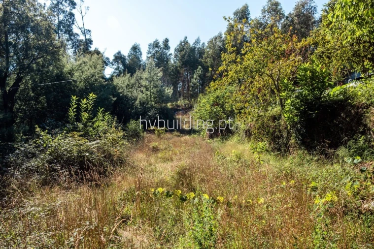 Terreno para Venda em Quintiães e Aguiar Foto 9