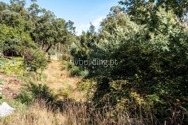 Terreno para Venda em Quintiães e Aguiar Foto 2