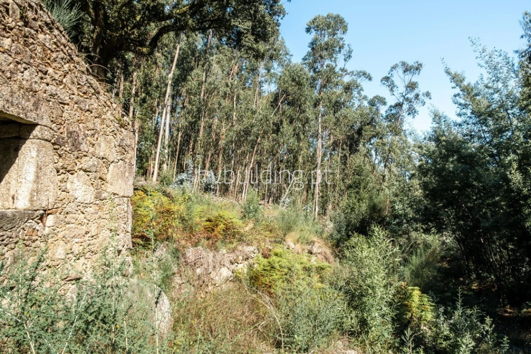 Terreno para Venda em Quintiães e Aguiar Foto 6