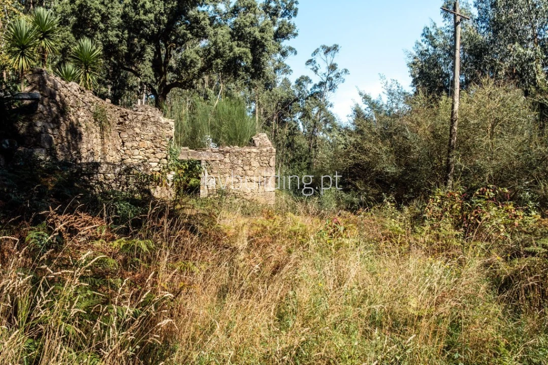 Terreno para Venda em Quintiães e Aguiar Foto 8