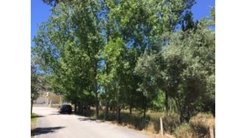 Terreno para Venda em Marrazes e Barosa