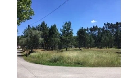 Terreno para Venda em Marrazes e Barosa