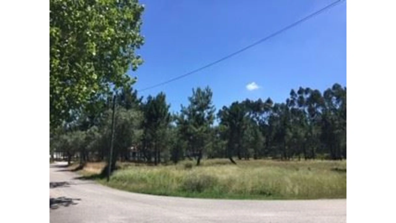 Terreno para Venda em Marrazes e Barosa Foto 2