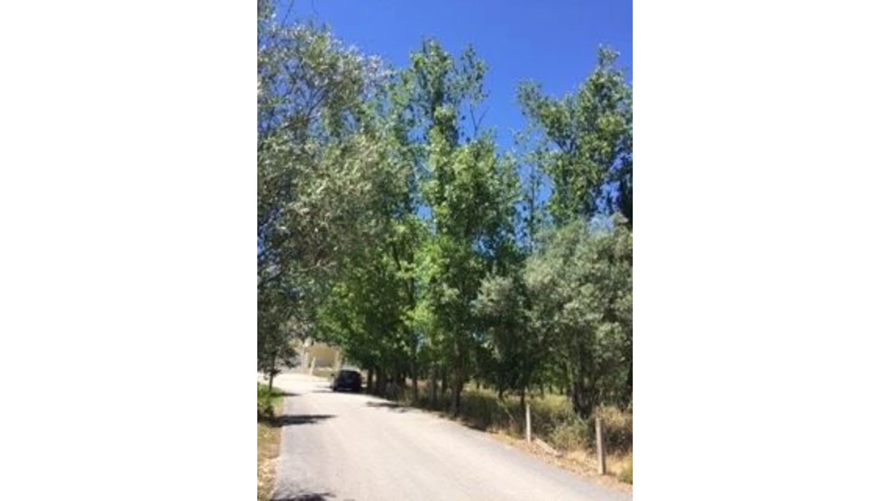 Terreno para Venda em Marrazes e Barosa Foto 8