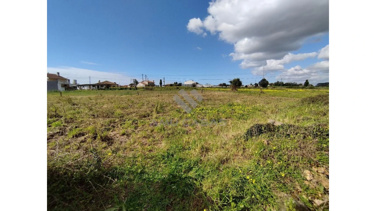 Terreno para Venda em Salreu Foto 7