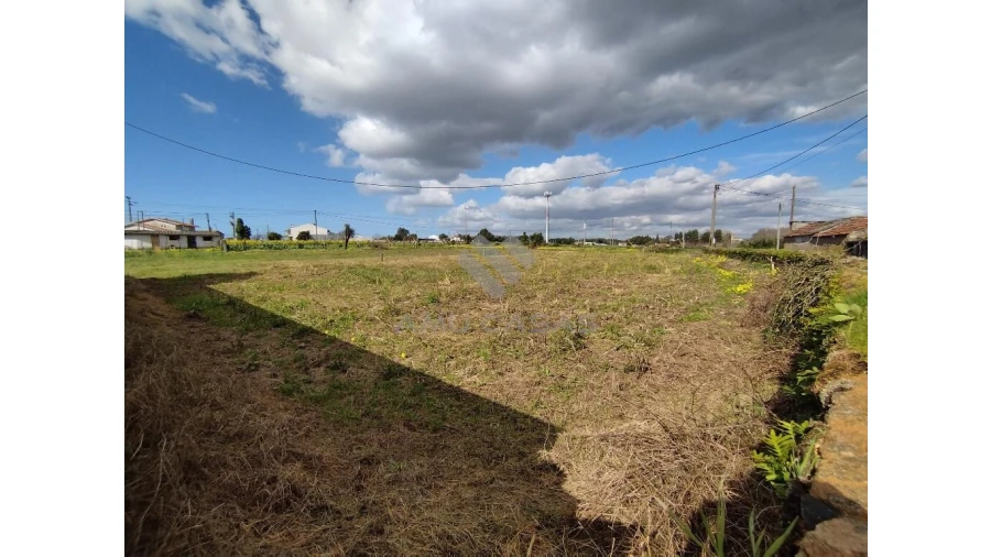 Terreno para Venda em Salreu Foto 4