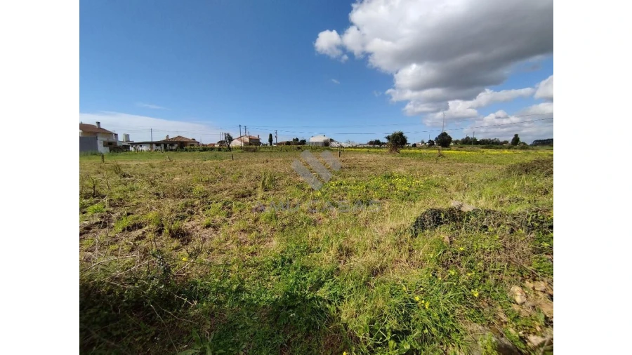 Terreno para Venda em Salreu Foto 7