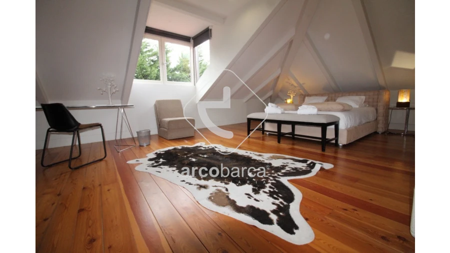 Negócio para Venda em Vila e Roussas Foto 81