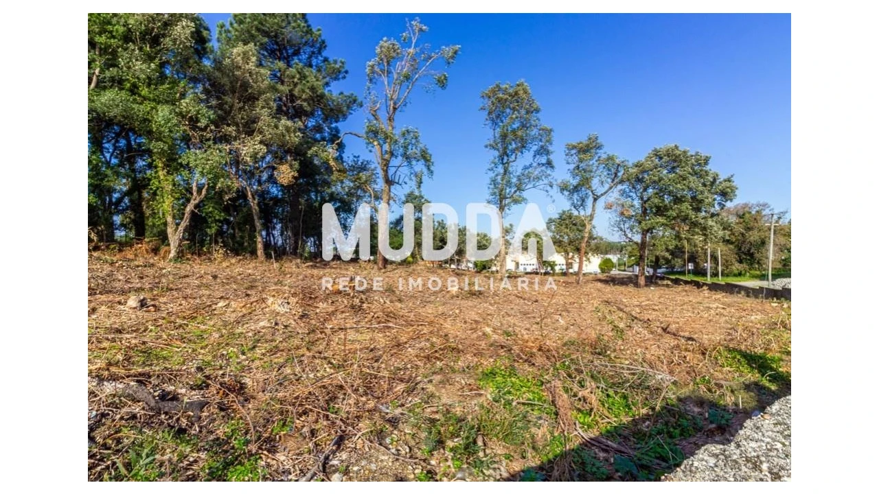 Terreno para Venda em Paços de Brandão Foto 4