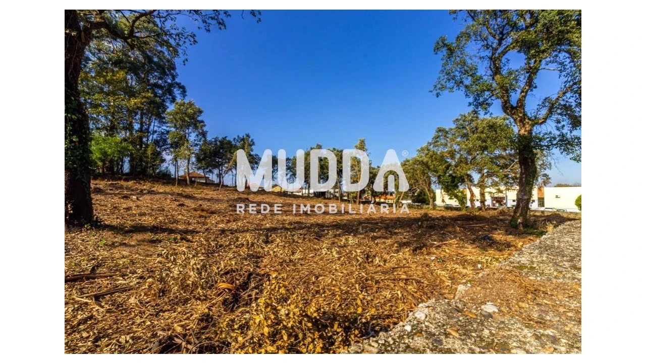 Terreno para Venda em Paços de Brandão Foto 8