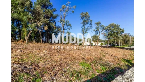 Terreno para Venda em Paços de Brandão