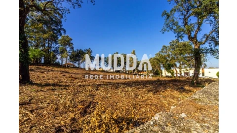 Terreno para Venda em Paços de Brandão