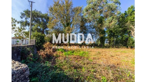 Terreno para Venda em Paços de Brandão