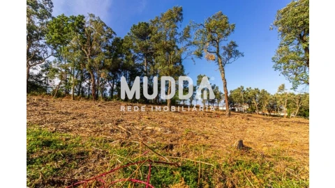 Terreno para Venda em Paços de Brandão