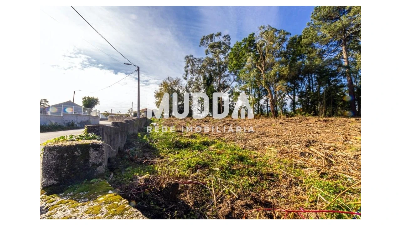 Terreno para Venda em Paços de Brandão Foto 5