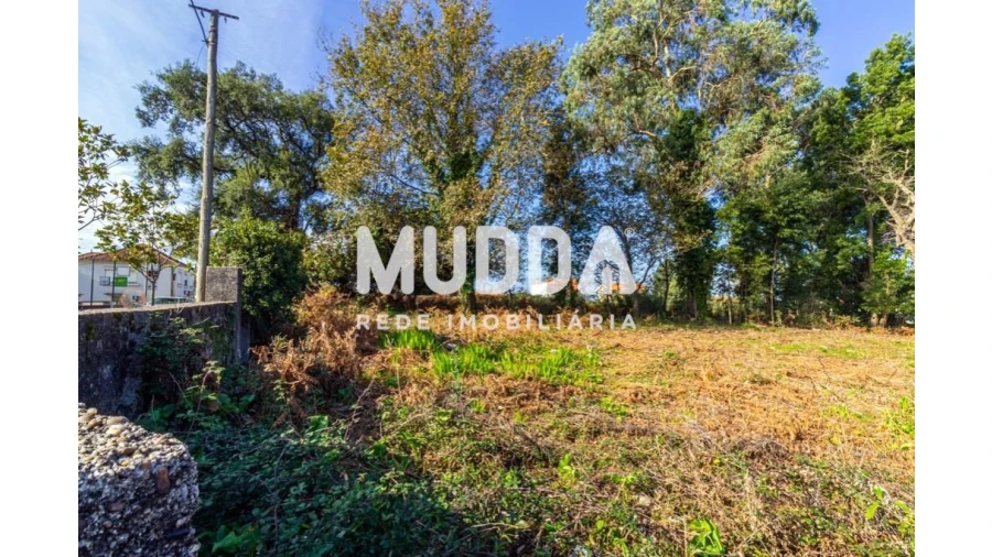 Terreno para Venda em Paços de Brandão