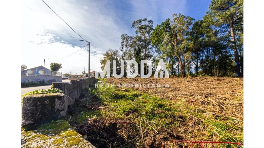 Terreno para Venda em Paços de Brandão Foto 5
