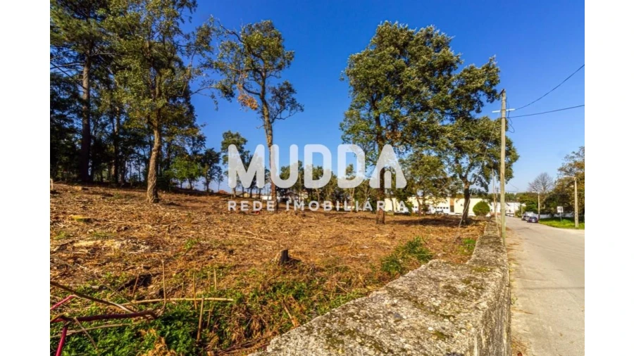 Terreno para Venda em Paços de Brandão Foto 7