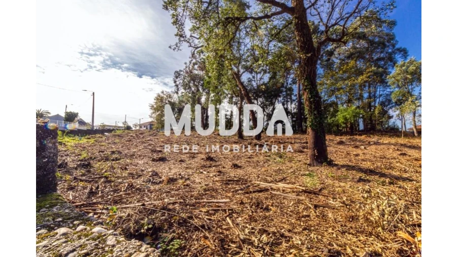 Terreno para Venda em Paços de Brandão Foto 9