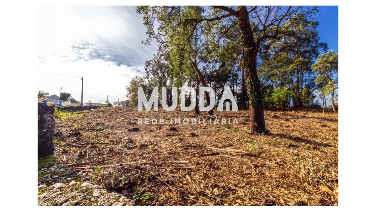Terreno para Venda em Paços de Brandão Foto 9