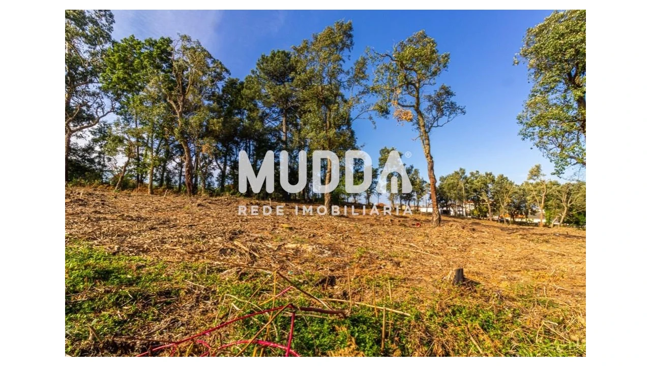Terreno para Venda em Paços de Brandão Foto 6