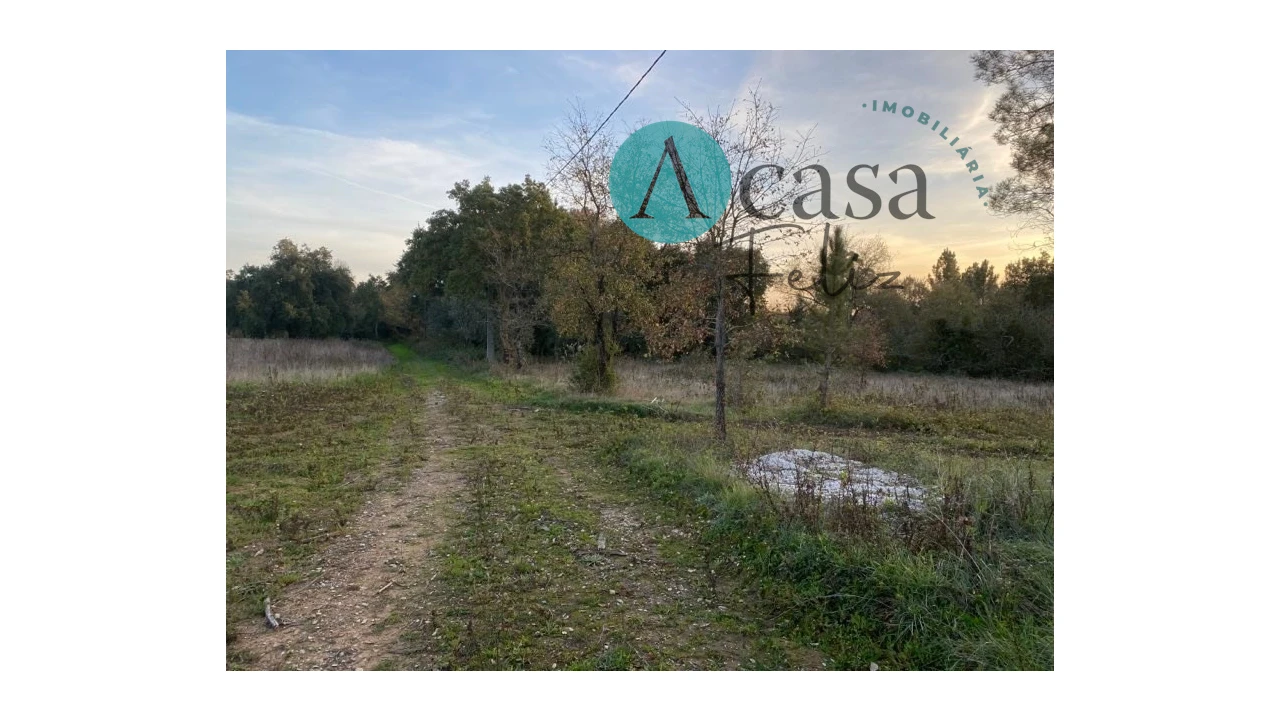 Terreno para Venda em Areias e Pias Foto 7