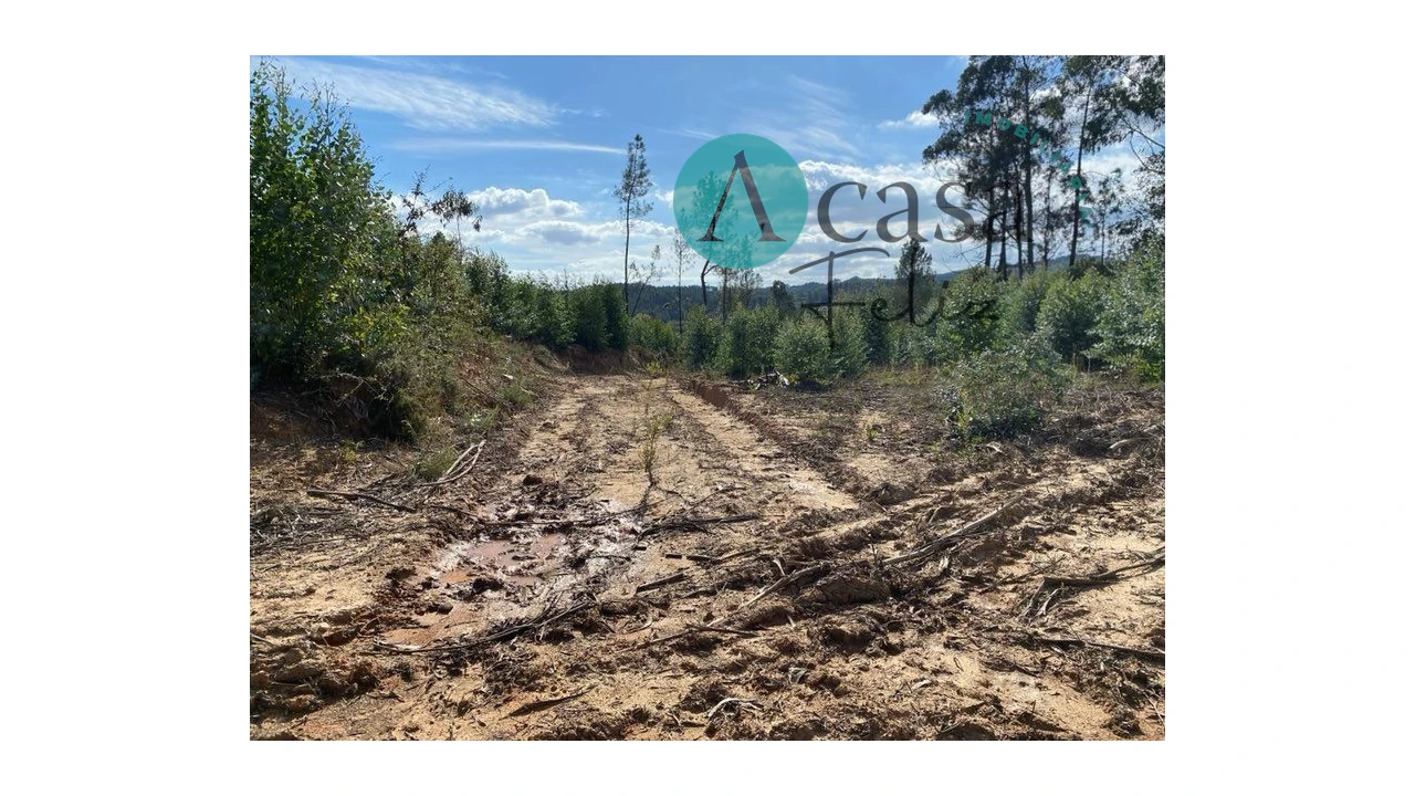 Terreno para Venda em Areias e Pias Foto 11