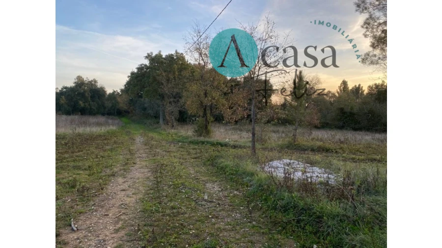 Terreno para Venda em Areias e Pias Foto 7