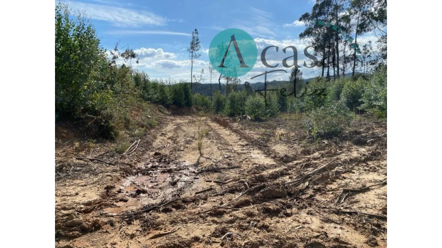 Terreno para Venda em Areias e Pias Foto 11