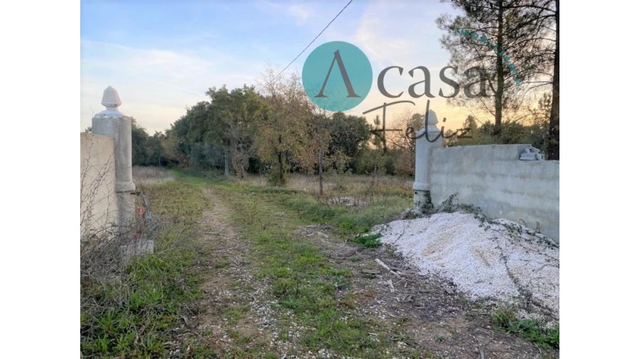 Terreno para Venda em Areias e Pias