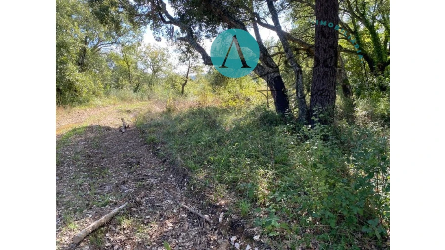 Terreno para Venda em Areias e Pias Foto 5